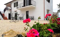 Agriturismo Podere Verdicchio
