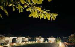 Leopard Valley Ranthambhore