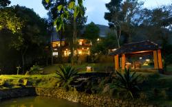 Beyond Eco Living