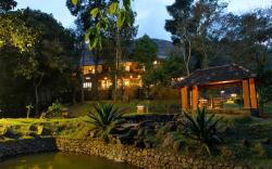 Beyond Eco Living