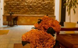 Casa Sofi Oaxaca-Ana Maria 1
