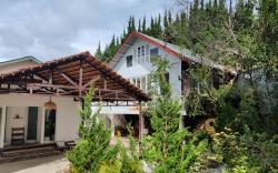 Summer Stay - Đà Lạt