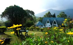 Camelot Resort