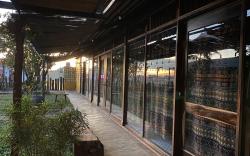 Nếp Vàng Nhà của Nếp