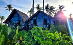 Tarzan's House