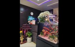 DT Hotel Hai Phong