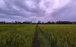 HostelExp, Gokarna - A Slow-Paced Backpackers Community