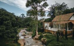 Nicestorychiangmai