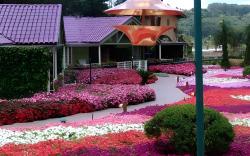 Unique Garden
