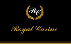 ROYAL CARINE HOTEL ANKARA
