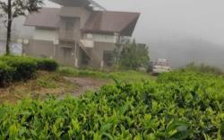 The Ark Luxury Resort