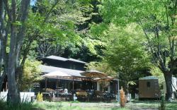Cafe & Guest House - Saku Cafe