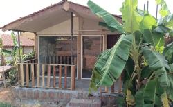 The Om Resort