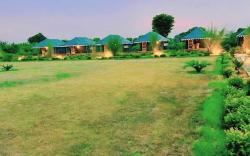 Pritampalace the nature camp 