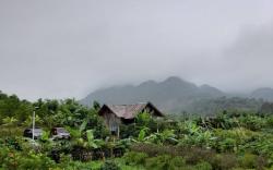Bamboo Nest de Chiang Rai