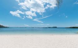 RedDoorz @ LM Apartelle Boracay