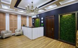 Art Elite Hotel