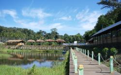 Mystery Maze Resort and Spa 