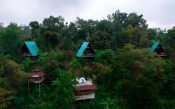 Willmount Cabin Homes, Munnar