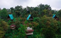 Willmount Cabin Homes, Munnar