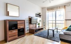 Golden Apartments Warsaw -  Platinum Towers