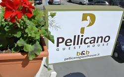 B&B Pellicano Guest House