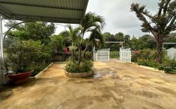 Thanh Homestay