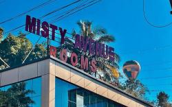 Misty Avenue  Rooms