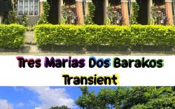 Five Siblings Transient