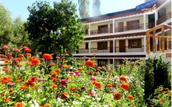 Hotel Abu Palace