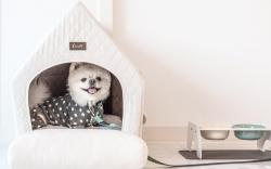 GYEONGJU LINEVIEW POOLVILLA