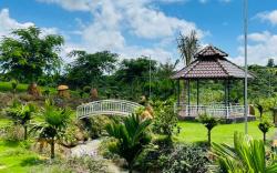 Homestay Nhà Của Gạo