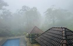 Elixir Woods Resort And Spa