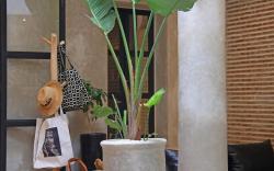 Riad Al Badia