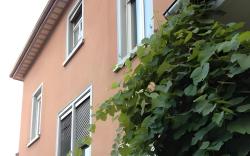 Park Villa Gernsheim