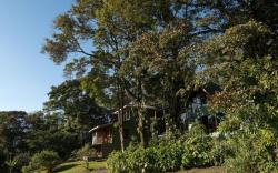 Hotel Flor de Bromelia