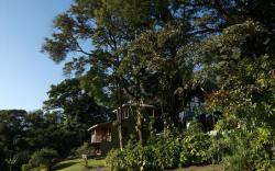 Hotel Flor de Bromelia