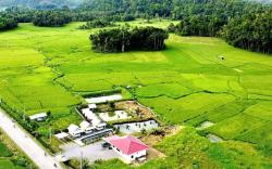 Jazz Ferme Inn Batuan Bohol