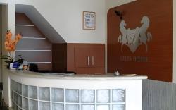 Lelis Hotel