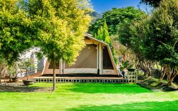 六沐森民宿.森居.glamping