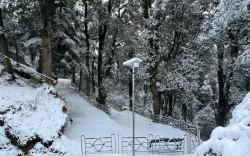 Hotel Jakhu Heights
