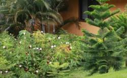 Boutique Hotel Luna Azul