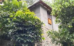 Khaya Gaze medicinal Plantation Guest House 