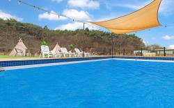 Anmyeondo Town 1967 Dog Pool Villa