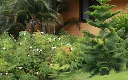 Boutique Hotel Luna Azul