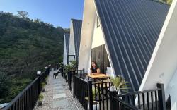 The Alchemist House