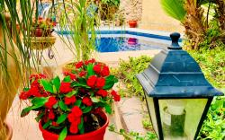 Boutique Hostal Lorca