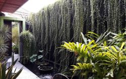 Segara Beach House Kuta