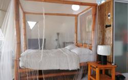 Glamping Dome Dauin Beach Resort