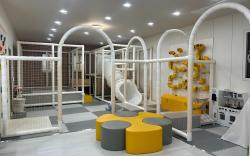 Gapyeong I Nolter Kids Pool Villa